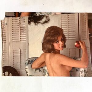 Vintage PLAYBOY centerfold -tri fold poster- 1960’s